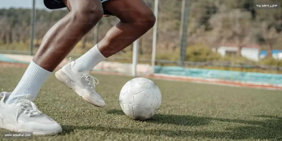 为什么选择我们